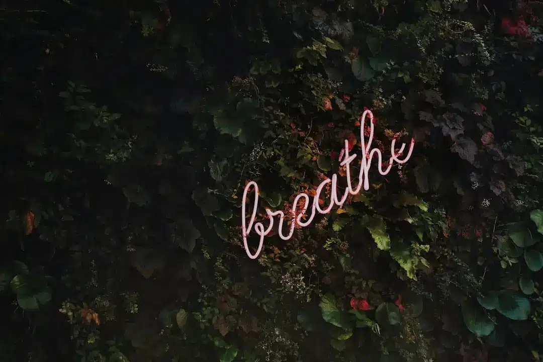 zipwp-image-vnptrdmtq30 - KLS Collective Therapy Group Liz Davis Therapist…breathe! For a full size digital copy (6000x4000px RAW+JPG) of this file, or a high quality print, please contact me via instagram: @timothy.j.goedhart, or email: tim@goedhart-lin.nl That file would be free to use for any means except direct reselling (copywrite is included in metadata). When using this free image online: please tag, credit and if you want, follow me on Instagram.